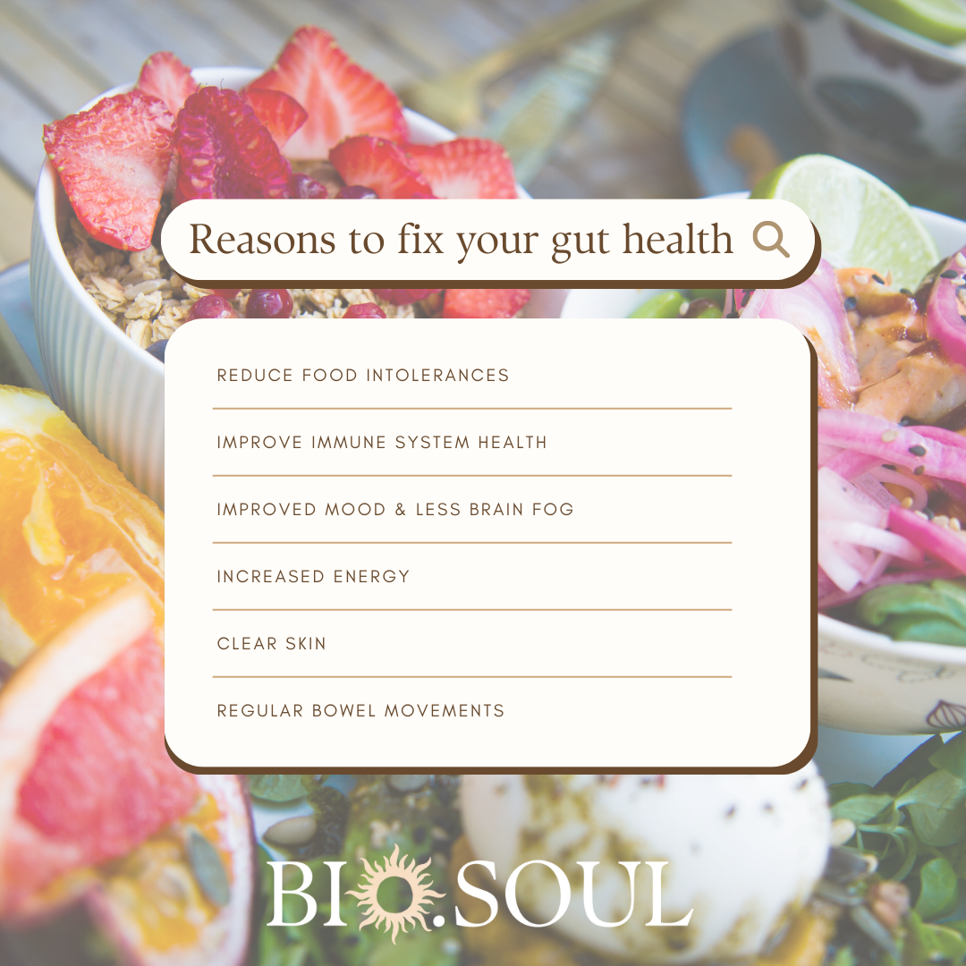 Reasons To Fix Your Gut Health 1