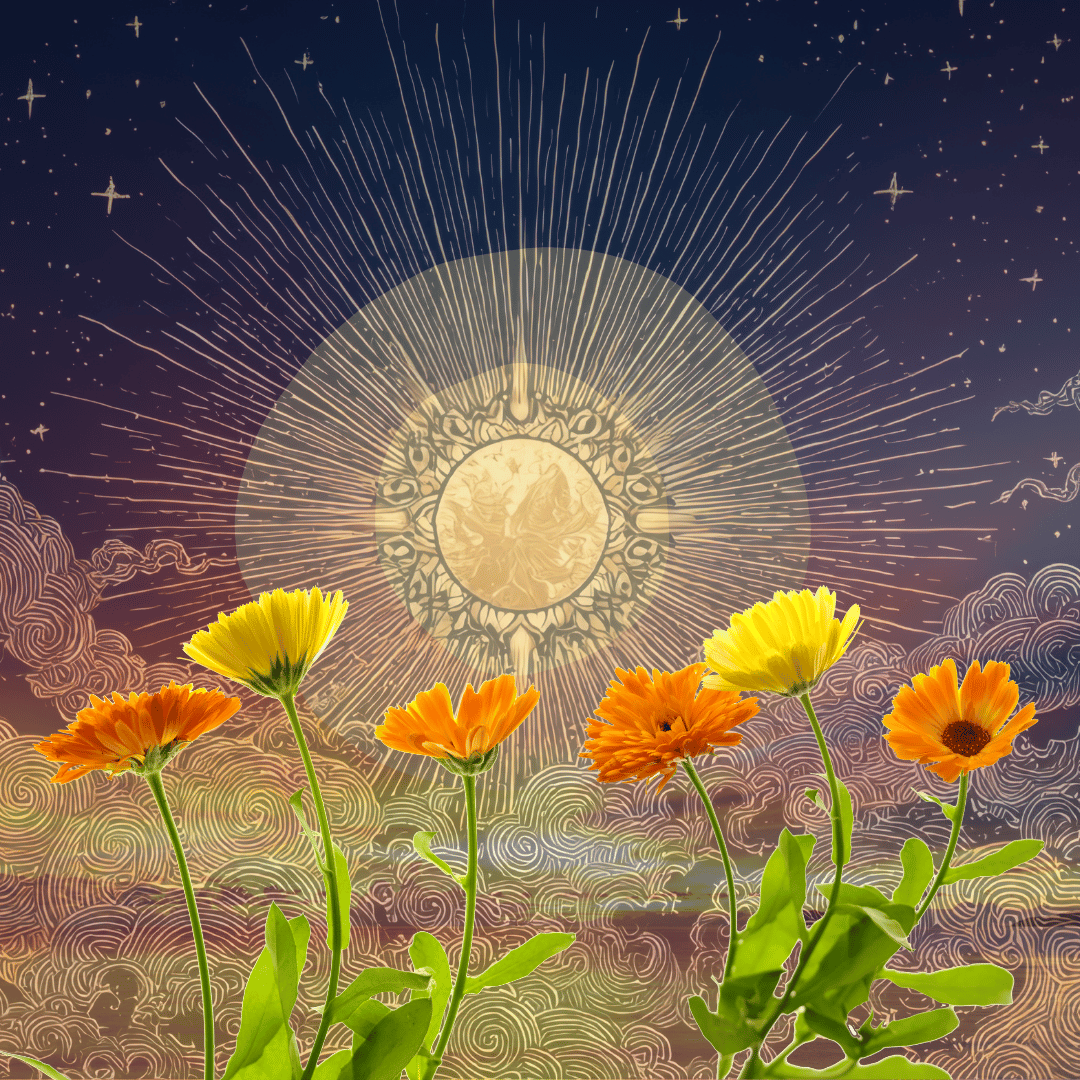 Sunset astroherbalism