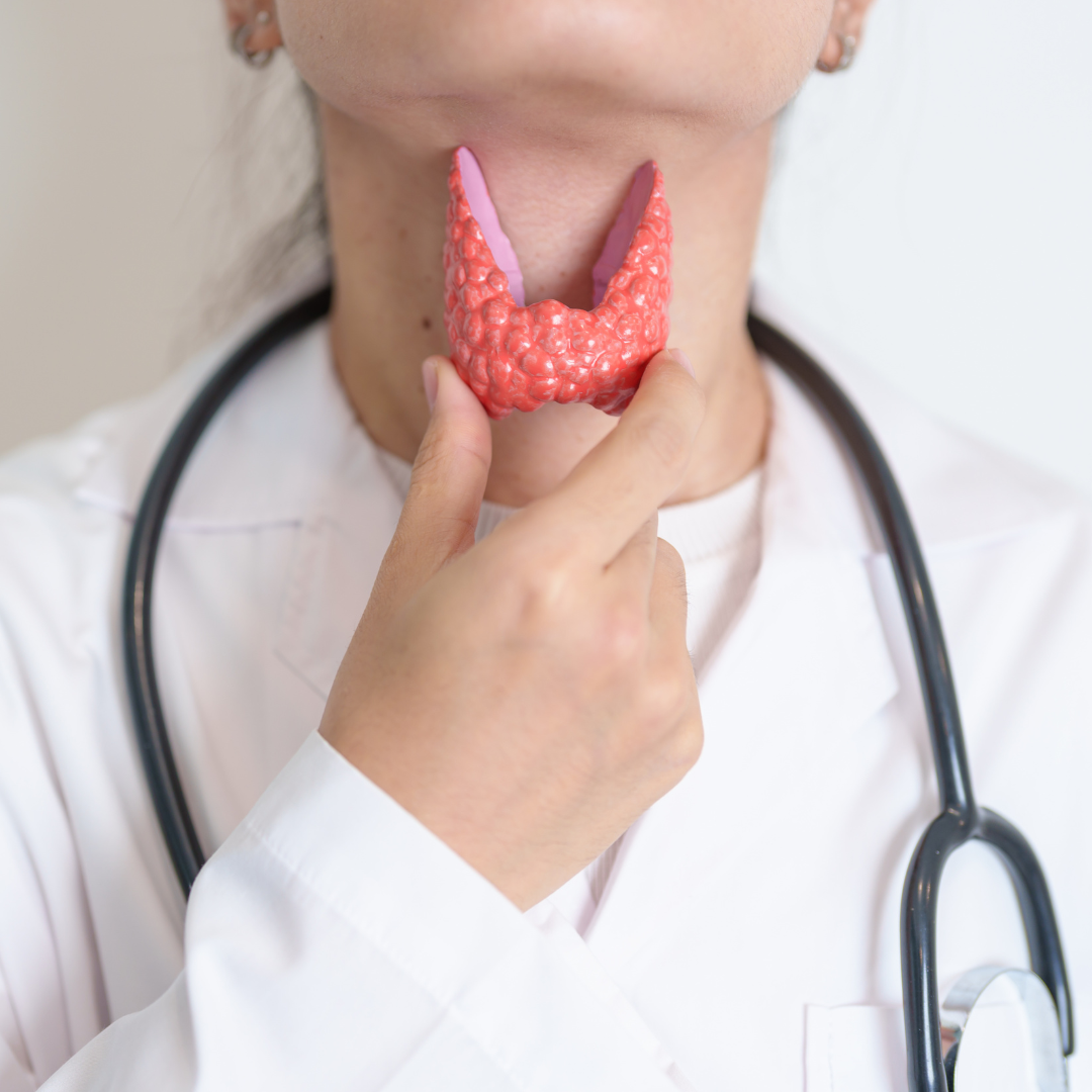 Thyroid Dysfunction and Gastrointestinal Health