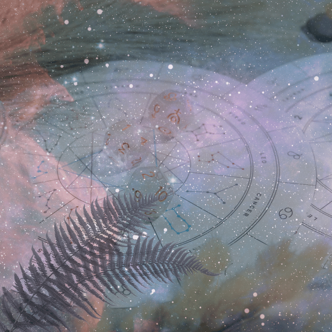 Astrology 6th houes medicine